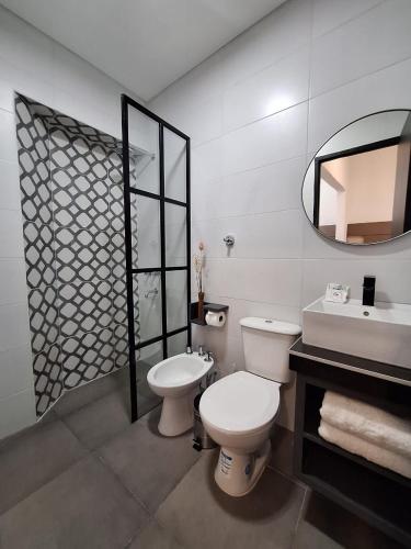 a bathroom with a toilet and a sink and a mirror at OSTATUA ETXEA in Salta