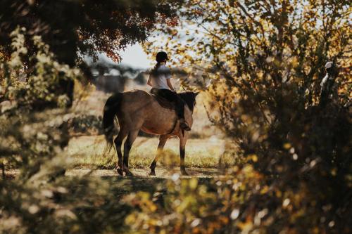 a person riding on a horse in a field at Sensiri Myst Country House in Dullstroom