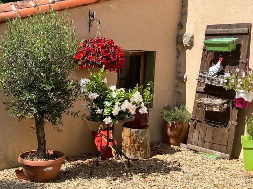 Ein Garten an der Unterkunft Virolet Barn