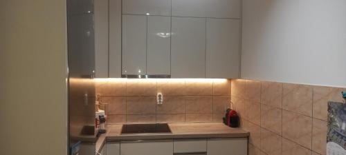 a kitchen with a sink and a counter top at Apartman CENTAR in Bar