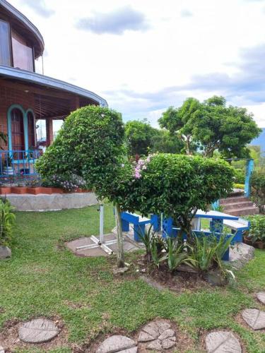 a couple of trees in a yard next to a house at casa de campo los gnomos, Venecia in Venecia