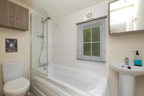 a bathroom with a toilet and a sink and a shower at Lazy Lodge in Redruth