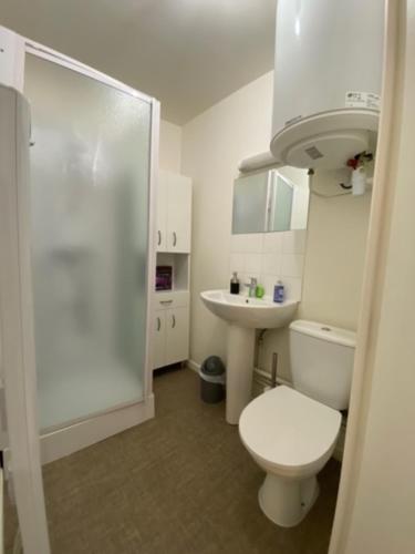 une salle de bain blanche avec des toilettes et un lavabo dans l'établissement Ecole 101, à La Flèche