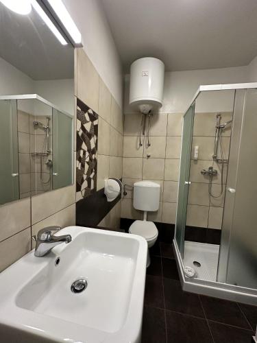 a bathroom with a sink and a toilet at Boutique & Wellness Hotel Vital in Moravske Toplice