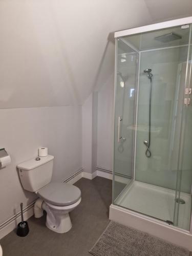 a bathroom with a toilet and a glass shower at Les Chambres de Beaumont in Beaumont-Village