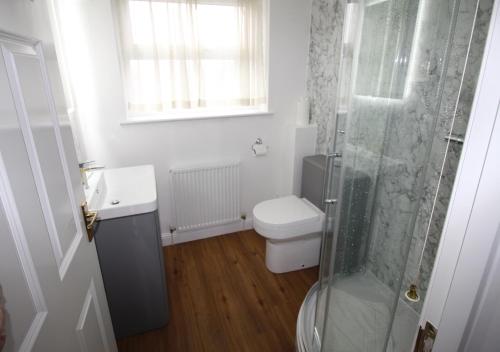 a bathroom with a toilet and a glass shower at Vine Cottage in Charmouth