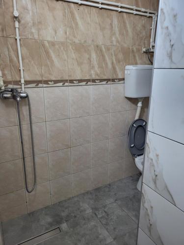 a bathroom with a toilet and a shower at Apartments Day Off in Aleksinac