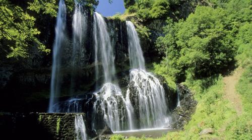 a waterfall in the middle of a forest at La Suite Rosièroise in Rosières
