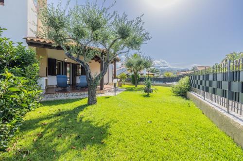 a yard with a tree and a building at Arvilla's Houses in Campofelice di Roccella