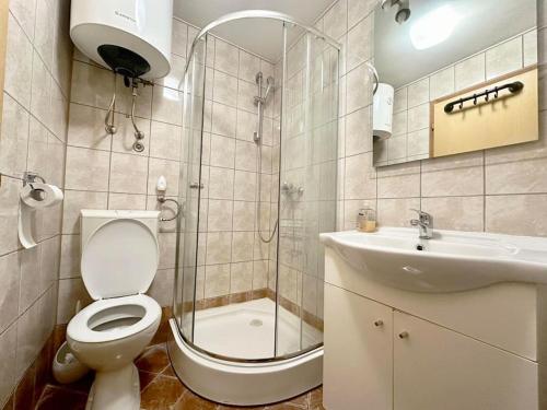 a bathroom with a toilet and a shower and a sink at Orhideja in Brežice