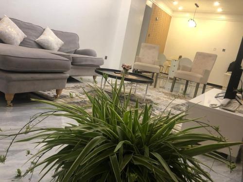 Zona d'estar a Zia Homes