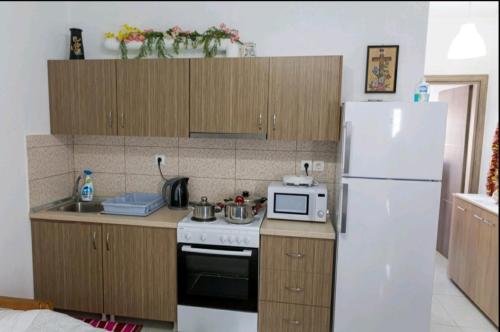 a kitchen with a white refrigerator and a stove at Stavroula's Houses in Kélla