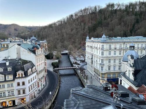 a view of a river in a city with buildings at Vila Historica Karlovy Vary in Karlovy Vary
