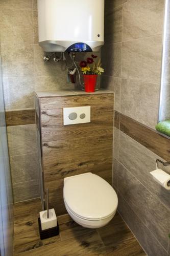 a bathroom with a white toilet in a room at Maki Domki Regionalne in Witów