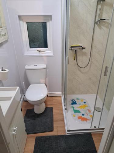 a small bathroom with a toilet and a shower at Bunny Lodge 30 - Riverside in Builth Wells