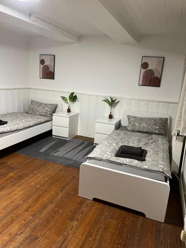 ein Schlafzimmer mit zwei Betten und zwei Pflanzen darin in der Unterkunft Weber Apartment David in Bramsche