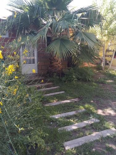內烏肯的住宿－Las Margaritas，通往棕榈树房屋的石头路径