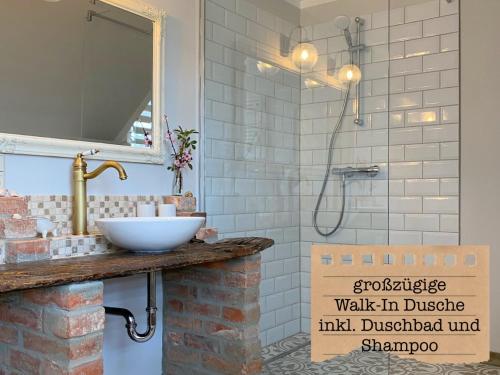 a bathroom with a sink and a shower at ALTE SCHULE WITTENBERG, 3 Ferienwohnungen für bis zu 12 Personen, an der Elbe, mit Garten in Lutherstadt Wittenberg