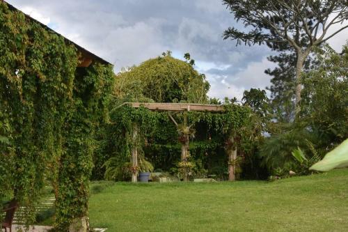 a garden with a wooden pergola in a yard at Cabin at Los Titos Coffee Farm in Recreo