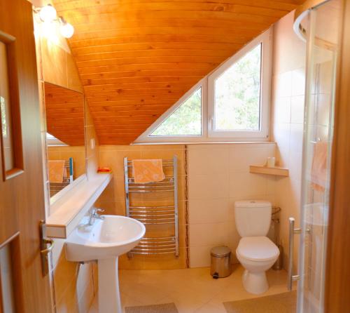 a small bathroom with a toilet and a sink at ubytovanie michaela in Liptovský Michal