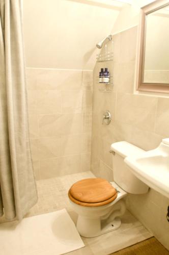 a bathroom with a toilet and a sink and a shower at Napier House in Campbellton