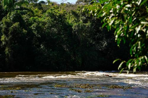 a river with trees on the side of it at Moradia da Mata in Nilo Peçanha