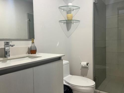 uma casa de banho com um WC, um lavatório e um chuveiro em Apartamento Secrt, comfort em San José