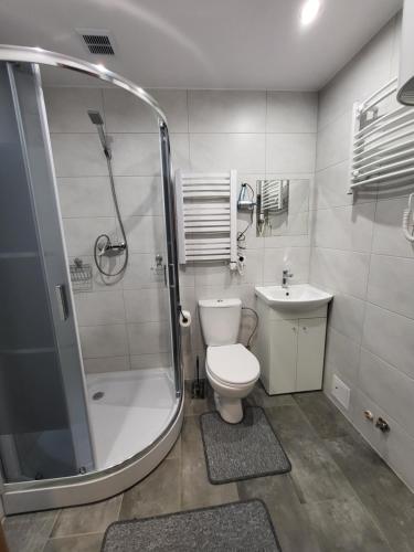 y baño con ducha, aseo y lavamanos. en Stroński Domek en Stronie Śląskie