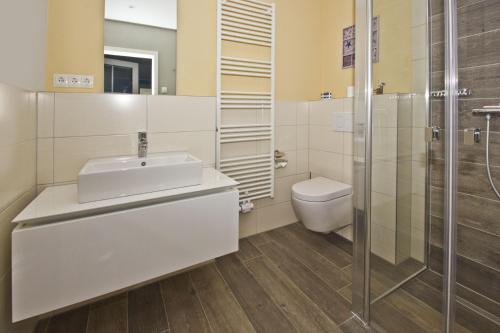 a bathroom with a sink and a toilet at F-1059 Landhaus am Rebstock FeWo Anker in Lancken-Granitz