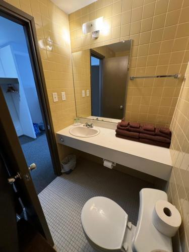 a bathroom with a toilet and a sink and a mirror at Minnedosa Inn in Minnedosa