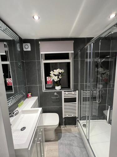 a bathroom with a toilet and a sink and a shower at HELIN’s Cottage in Whitby