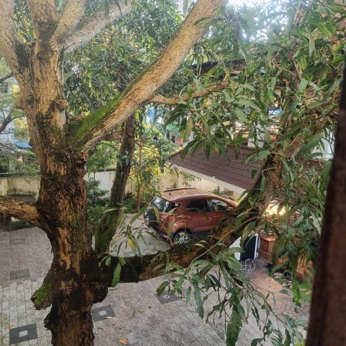 a tree and a car parked next to a house at Deep Apartment 