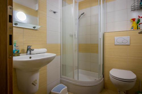 a bathroom with a shower and a sink and a toilet at Apartman 25 Vysoké Tatry in Štrba