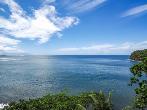 a view of the ocean from a bluff at Le Tahiti by Pearl Resorts in Papeete