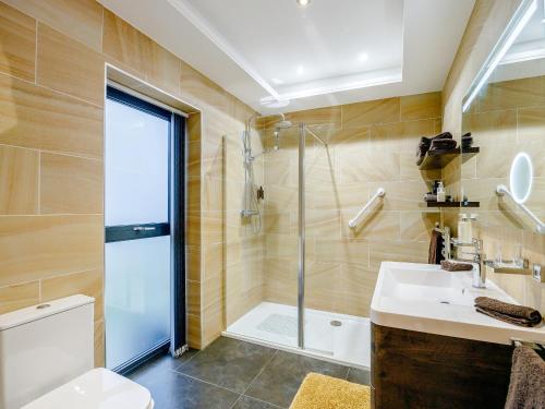 a bathroom with a shower and a sink and a toilet at The Paddocks Retreat in North Thoresby