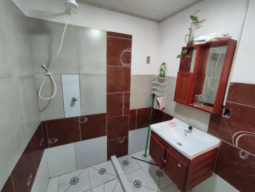 y baño con lavabo y ducha. en Acogedora e independiente casita - La Promotora, en Cochabamba