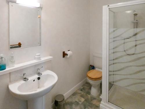 a bathroom with a toilet and a sink and a shower at Bournstream Cottage in Withycombe