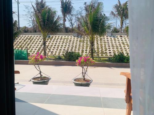three potted plants sitting on a patio with palm trees at Bờ Biển Vàng Resort in Ke Ga