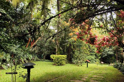 a garden with a path in the grass at Tranquil Resort - Blusalzz Collection, Wayanad - Kerala in Ambalavayal