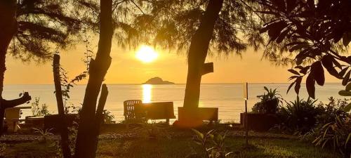 a sunset over the ocean with chairs and trees at Turtle Nest in Khao Tao