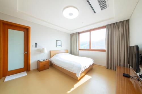 Elysian Gangchon Resort في تشنتشون: غرفة نوم بسرير وتلفزيون بشاشة مسطحة