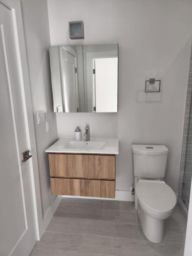 a bathroom with a toilet and a sink and a mirror at Modern 2 bedroom walking distance to the beach! in West Bay