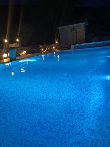 a large swimming pool at night with blue lights at Villa Katarina in Tivat