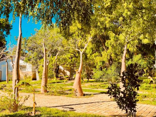 a group of trees and a brick walkway at VOVO TELO LODGE in Toliara