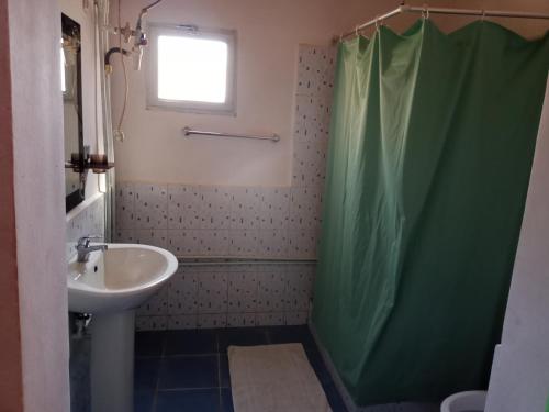a bathroom with a sink and a green shower curtain at Auberge Nofiko in Talata-maty