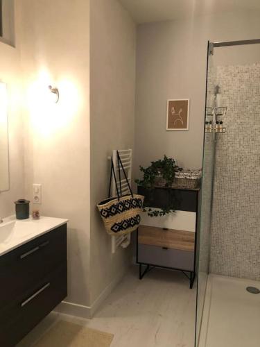 une salle de bain avec une douche, un lavabo et un miroir dans l'établissement Jarnac, charmante maison au bord du fleuve, à Jarnac