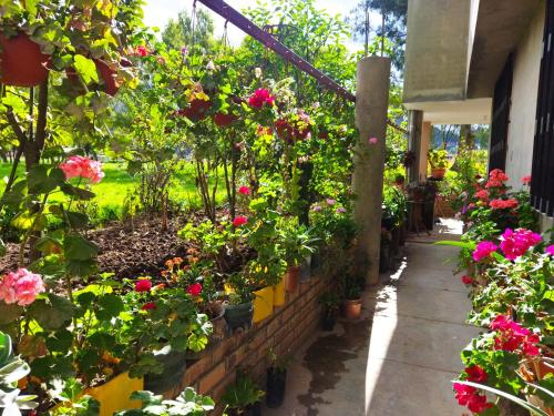 un jardín con flores y plantas en un edificio en Habitación en casa de campo, en Cajamarca