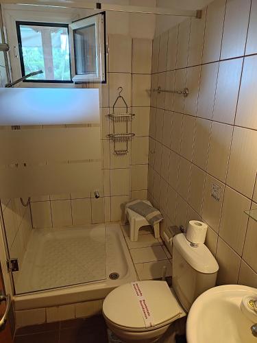 a bathroom with a shower and a toilet and a sink at Nikos Apartments in Ormos Panagias