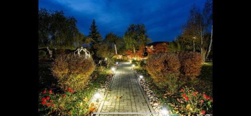 a walkway with lights in a garden at night at Casa Augsburg in Băneşti