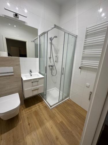 y baño con ducha, aseo y lavamanos. en Nowoczesne mieszkanie 65 m2, en Chojnice